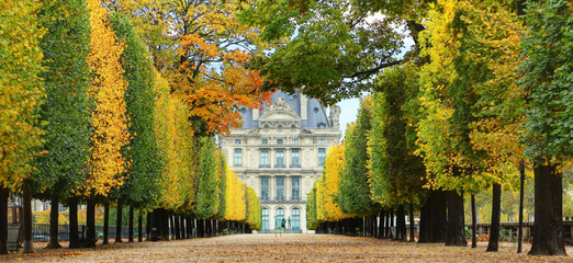 Fototapeta premium Autumn in Paris