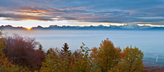 Swiss Forest Autumn  View
