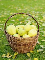 Green apples