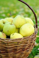 Green apples
