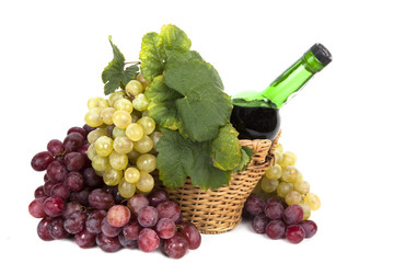 white and red grape with leaves and bottle of wine