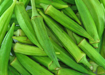 Okra
