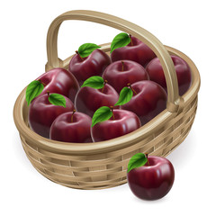 Red apple basket illustration