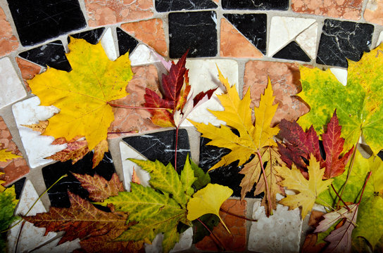 Herbstlaub auf Mosaik aus gewaschenem Marmor