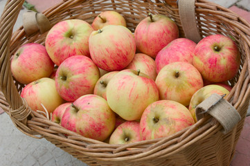 Basket with apples