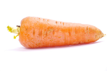 carrots