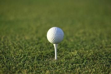 golf green