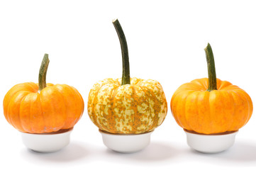 Mini pumpkins over white
