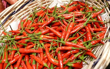 Piment oiseau