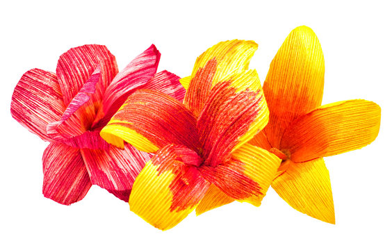 Paper flowers isolated on a white background