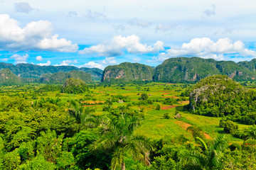 The Vinales valley in Cuba, a famous tourist destination