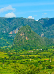 Fototapeta na wymiar The Vinales valley in Cuba