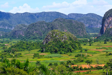 Fototapeta na wymiar The Viñales valley in Cuba, a famous tourist destination