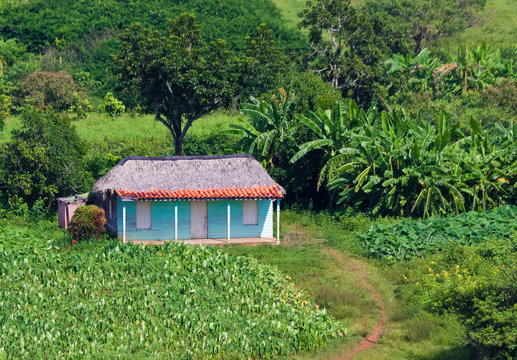 Typical house in the cuban countryside