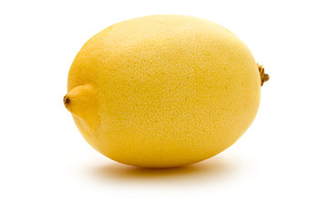 Lemon on the white background