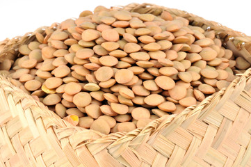 Lentilles vertes sèches