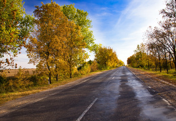 Autumn road