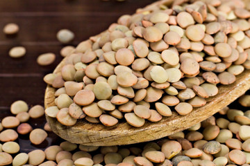 Lenticchie - Lentils - Lens culinaris