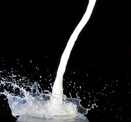 Splashing milk