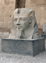 Fototapeta premium sculpture at Luxor Temple in Egypt