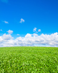 Grassland Area Beauty Clouds Green Field