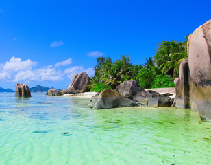 Dream Paradise Cove