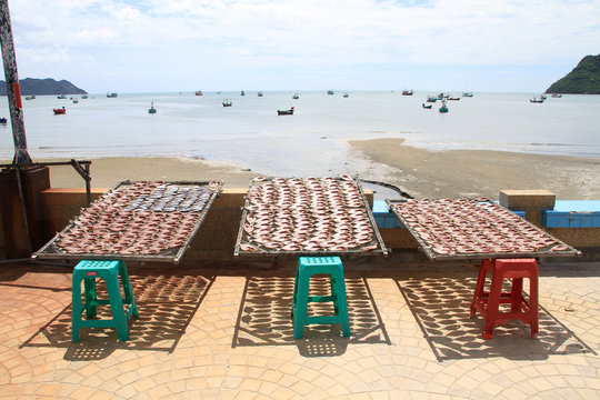 Beach and dry fish
