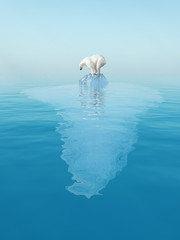 Obraz premium last polar bear on iceberg