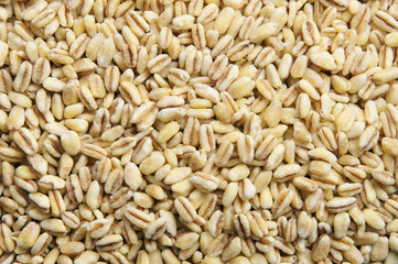 Pre-cooked wheat grains