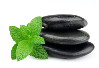 Fresh mint on the stones