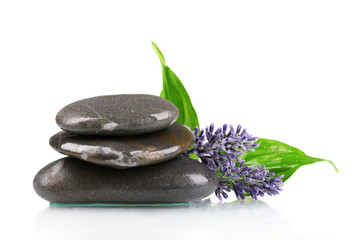 spa stones, lavender and leaves  isolated on white
