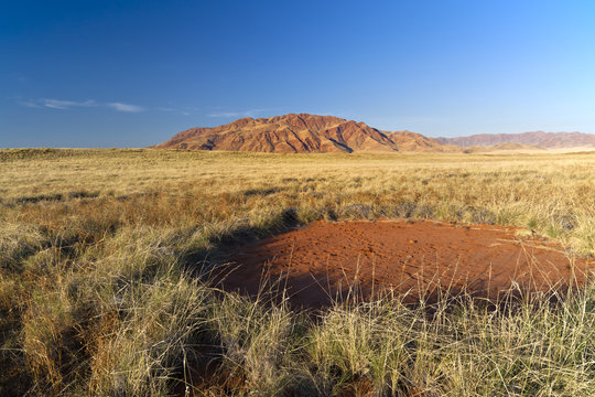 fairy circle in Namibia