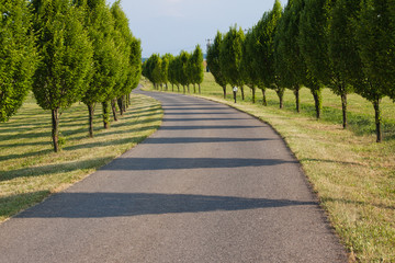 Country alley