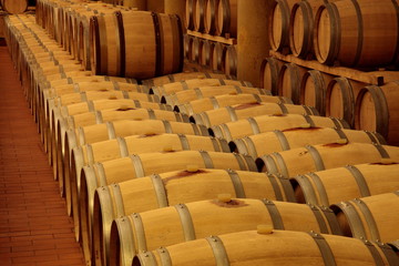 Weinkeller, Eichenf&auml;sser, Rotwein, Gew&ouml;lbekeller