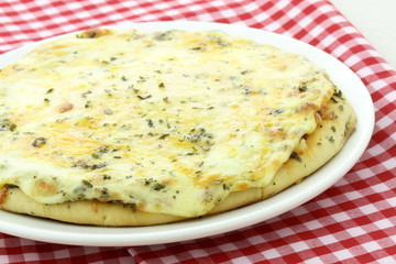 delicious italian cheese pizza