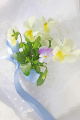 かわいいビオラのブーケ