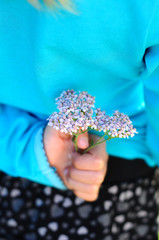 fleurs cachées dans le dos
