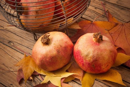 Pomegranate - Melograno