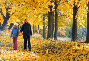 Family in autumn maple park
