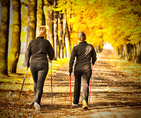 Two women in the park - Nordic walking - 36579422