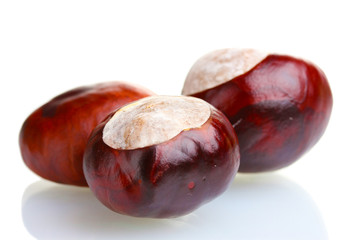 brown chestnuts isolated on white