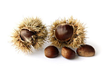 Chestnuts