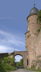 Wertheim Castle detail at summer time