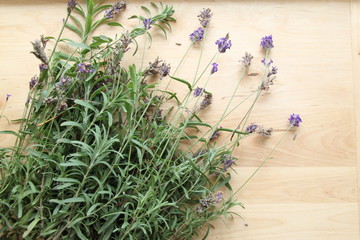 dried lavender