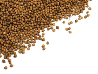Coriander seeds