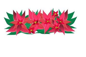 Weihnachtsstern Pflanze Freisteller