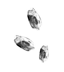 Naklejka premium Fingerprints