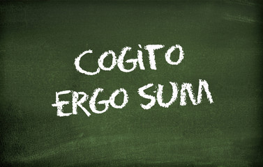 Cogito ergo sum - 36588485