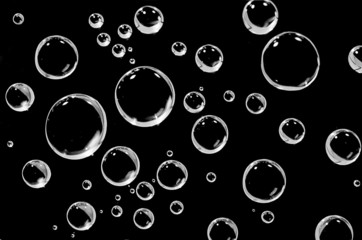 Water droplets on a black background.