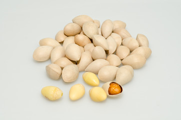 Ginkgo nuts isolated on white background